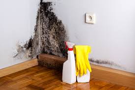 Best Mold Prevention Services  in Gordon, GA